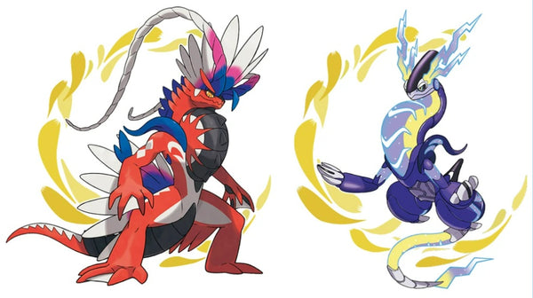 Post-Rotation Guide for Pokemon Kid's League