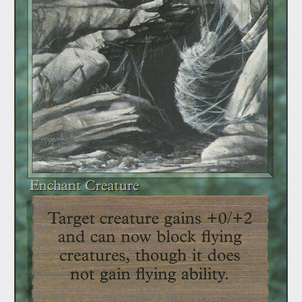 Web [Revised Edition]