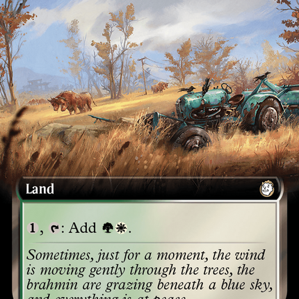Sungrass Prairie (Extended Art) [Fallout] Surge Foil