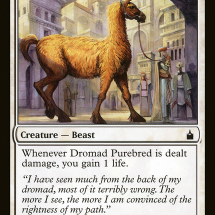 Dromad Purebred [Ravnica: City of Guilds]