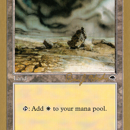 Plains (BH331) [World Championship Decks 1998]