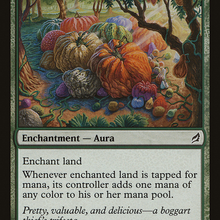 Fertile Ground [Lorwyn]