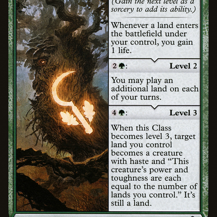 Druid Class [Adventures in the Forgotten Realms]