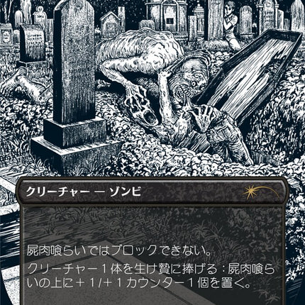 Carrion Feeder (Japanese Borderless) [Secret Lair Drop Series]