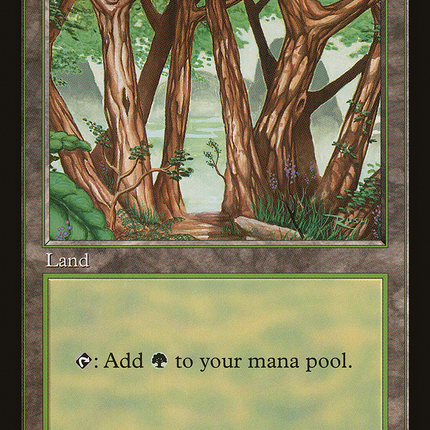 Forest (006) [Asia Pacific Land Program]