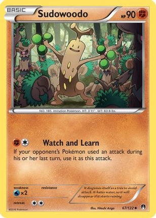 Sudowoodo - 67/106 [XY - BREAKpoint]