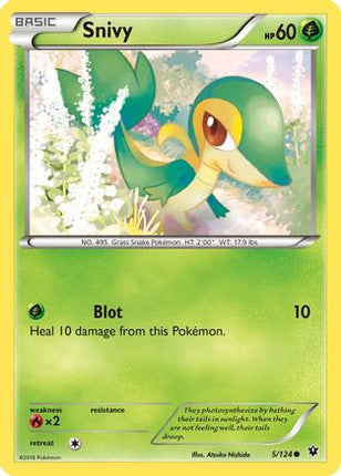 Snivy - 5/124 [XY - Fates Collide] Reverse Holofoil
