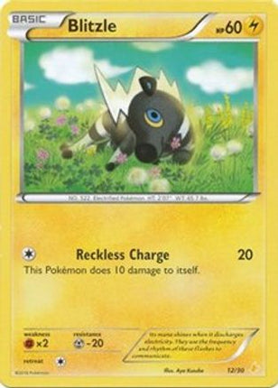Blitzle 26- XY Trainer Kit Pikachu Libre & Suicune