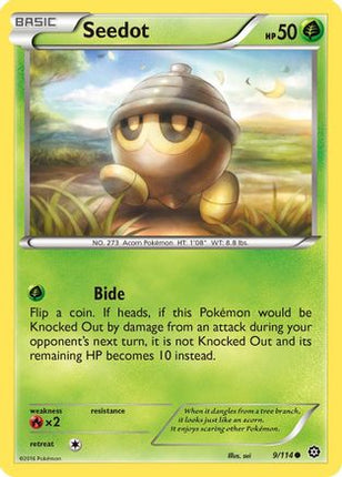 Seedot - 9/114 [XY - Steam Siege] Reverse Holofoil