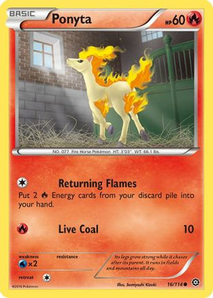 Ponyta - 16/114 [XY - Steam Siege] Reverse Holofoil