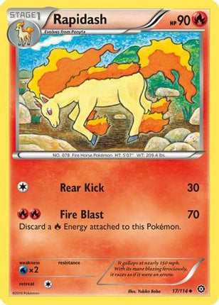 Rapidash - 17/114 [XY - Steam Siege] Reverse Holofoil