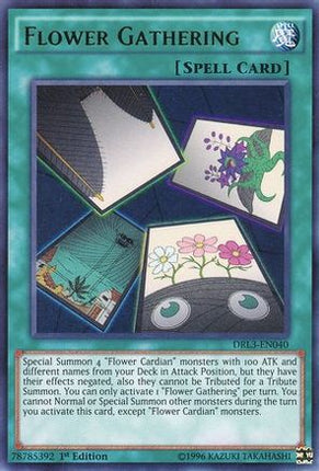 Flower Gathering (Ultra Rare) [DRL3-EN040] 1st Edition