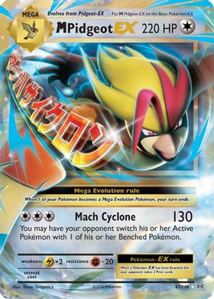M Pidgeot EX - 65/108 [XY - Evolutions] Holofoil