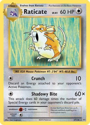 Raticate - 67/108 [XY - Evolutions]