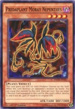 Predaplant Moray Nepenthes [INOV-EN007] Common
