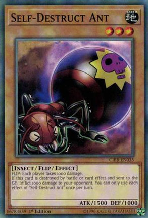 Self-Destruct Ant (Common / Short Print) [CIBR-EN035] 1st Edition