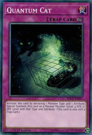 Quantum Cat (Common / Short Print) [SDCL-EN037] Structure Deck: Cyberse Link 1st Edition