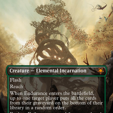 Endurance (Borderless) [Special Guests]