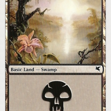 Swamp (047) [Hachette UK]