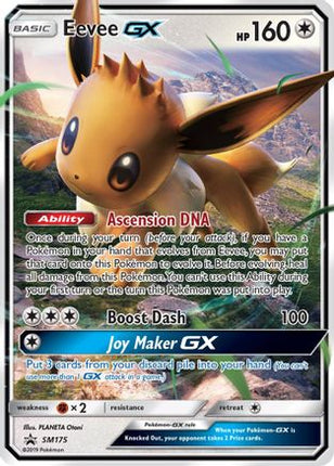 Eevee GX - SM175 - null/null [SM Promos] Holofoil