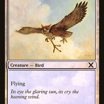 Suntail Hawk [Tenth Edition] Foil