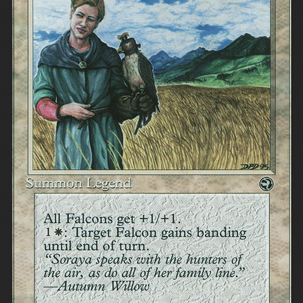 Soraya the Falconer [Homelands]