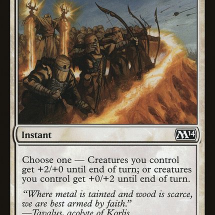 Fortify [Magic 2014]