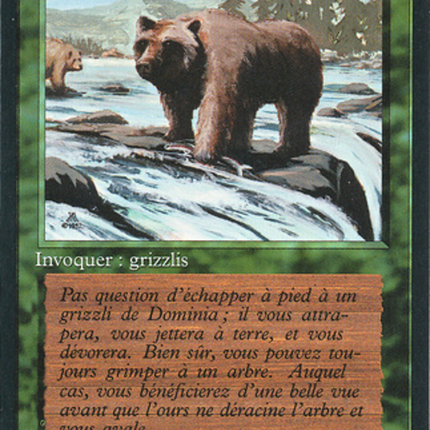 Grizzly Bears - Grizzlis  [Foreign Black Border]