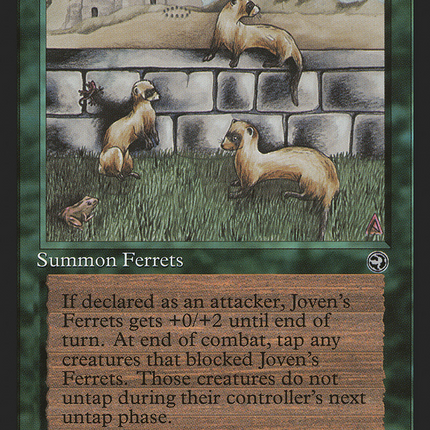 Joven's Ferrets [Homelands]