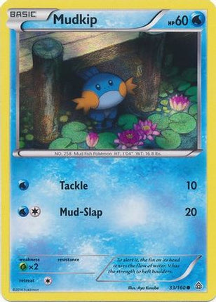 Mudkip - 33/160 (Sheen Holo) [Miscellaneous Cards & Products] Holofoil