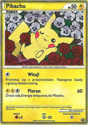 Pikachu (Polish) - PW 8/null [Pikachu World Collection Promos] Holofoil