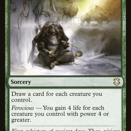 Shamanic Revelation [Forgotten Realms Commander]