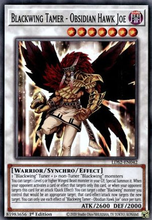 Blackwing Tamer - Obsidian Hawk Joe (Common / Short Print) [LDS2-EN042] 1st Edition