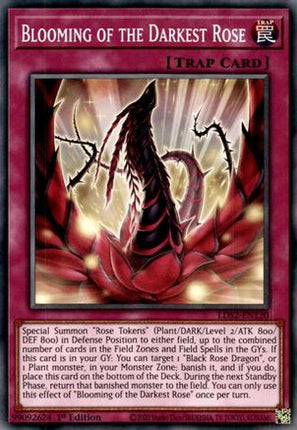 Blooming of the Darkest Rose (Common / Short Print) [LDS2-EN120] 1st Edition