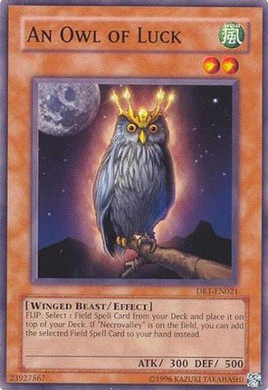 An Owl of Luck (Common / Short Print) [DR1-EN021] Dark Revelation Volume 1 Unlimited