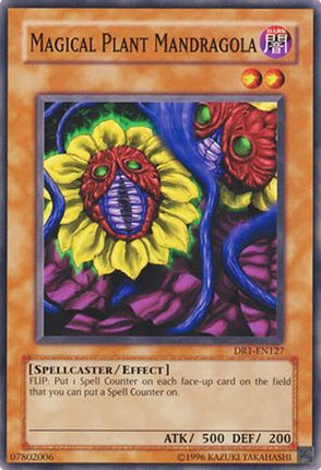 Magical Plant Mandragola (Common / Short Print) [DR1-EN127] Dark Revelation Volume 1 Unlimited
