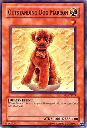 Outstanding Dog Marron (Common / Short Print) [DR1-EN224] Dark Revelation Volume 1 Unlimited