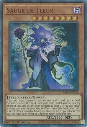 Sauge de Fleur (Ultra Rare) [LED8-EN021] 1st Edition