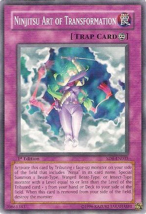 Ninjitsu Art of Transformation (Common / Short Print) [SD8-EN035] Structure Deck: Lord of the Storm 1st Edition