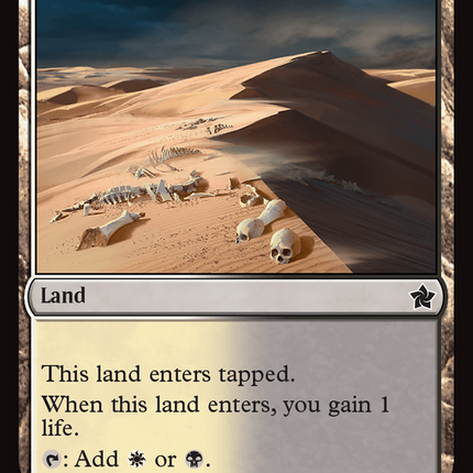 Scoured Barrens [Foundations] Foil