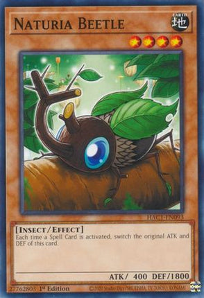 Naturia Beetle (Duel Terminal) [HAC1-EN093] Common
