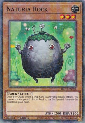 Naturia Rock (Duel Terminal) (Duel Terminal Technology Common) [HAC1-EN094] 1st Edition