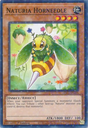 Naturia Horneedle (Duel Terminal) (Duel Terminal Technology Common) [HAC1-EN105] 1st Edition