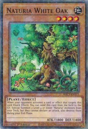 Naturia White Oak (Duel Terminal) (Duel Terminal Technology Common) [HAC1-EN115] 1st Edition