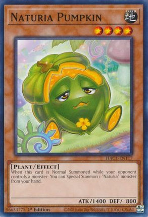 Naturia Pumpkin (Common / Short Print) [HAC1-EN117] 1st Edition