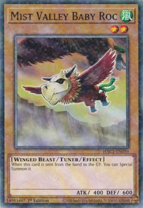 Mist Valley Baby Roc (Duel Terminal) (Duel Terminal Technology Common) [HAC1-EN059] 1st Edition