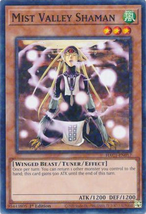 Mist Valley Shaman (Duel Terminal) (Duel Terminal Technology Common) [HAC1-EN057] 1st Edition