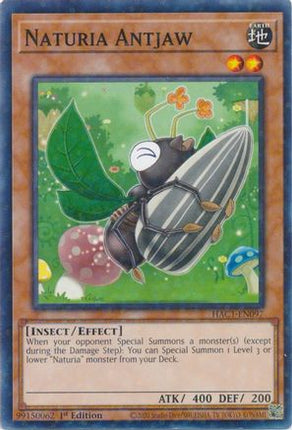 Naturia Antjaw (Duel Terminal) (Duel Terminal Technology Common) [HAC1-EN097] 1st Edition