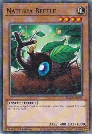 Naturia Beetle (Duel Terminal) (Duel Terminal Technology Common) [HAC1-EN093] 1st Edition