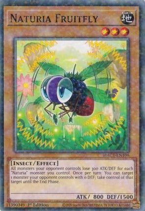 Naturia Fruitfly (Duel Terminal) (Duel Terminal Technology Common) [HAC1-EN106] 1st Edition